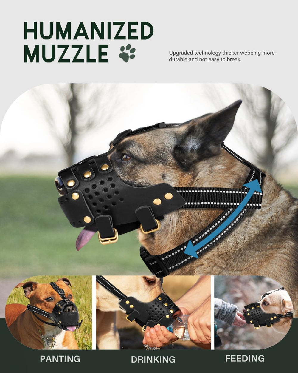 MIDOG size guide helps you pick the right fit.