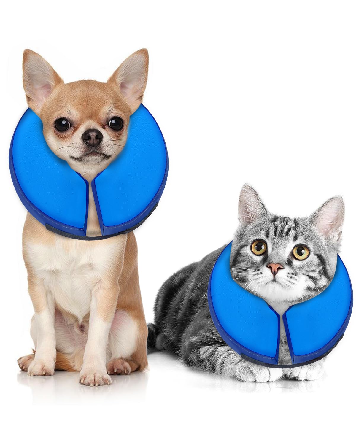 MIDOG soft inflatable dog cone front view for unobstructed vision during recovery