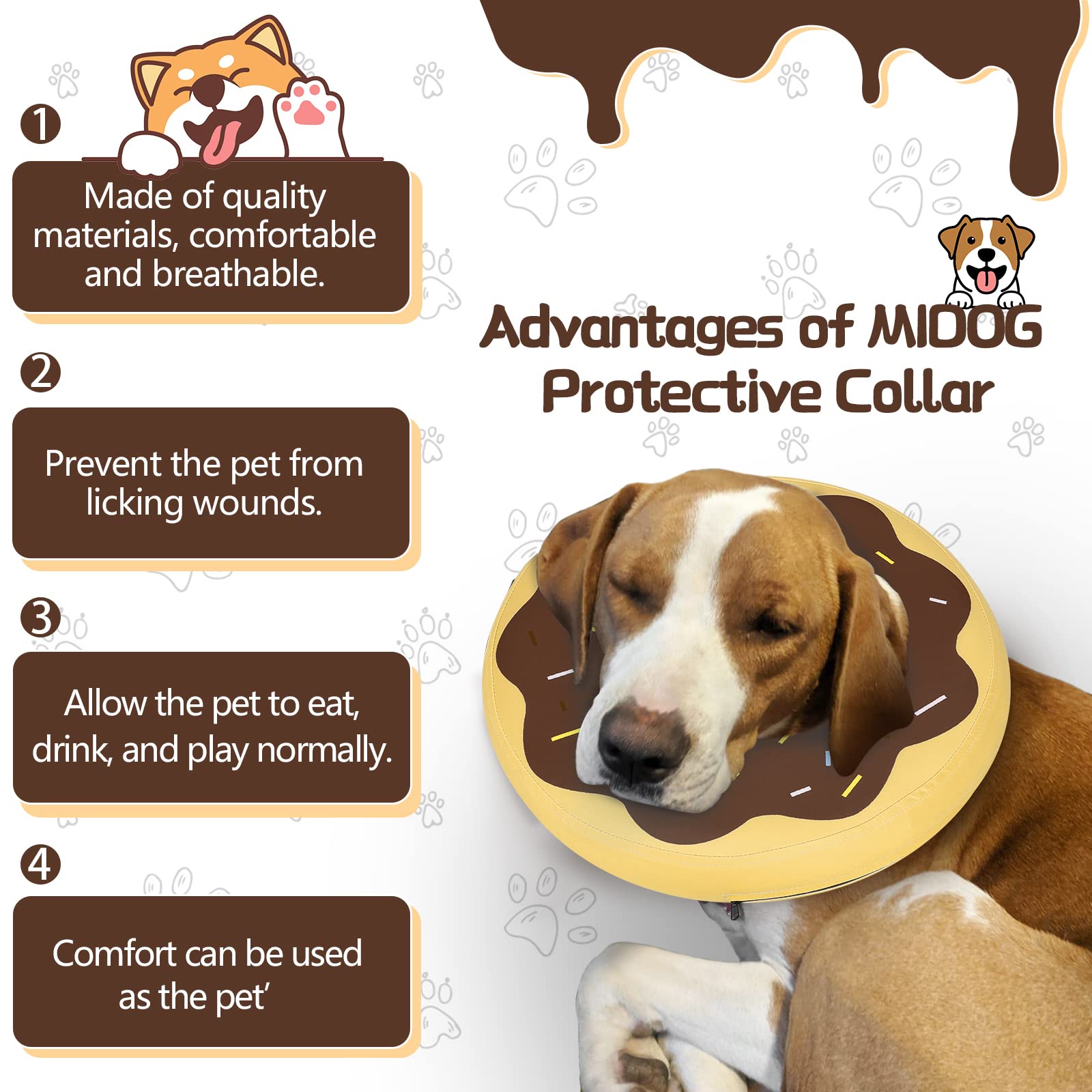 MIDOG donut cone worn by a dog for post-surgery care