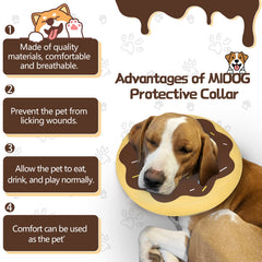 MIDOG donut cone worn by a dog for post-surgery care