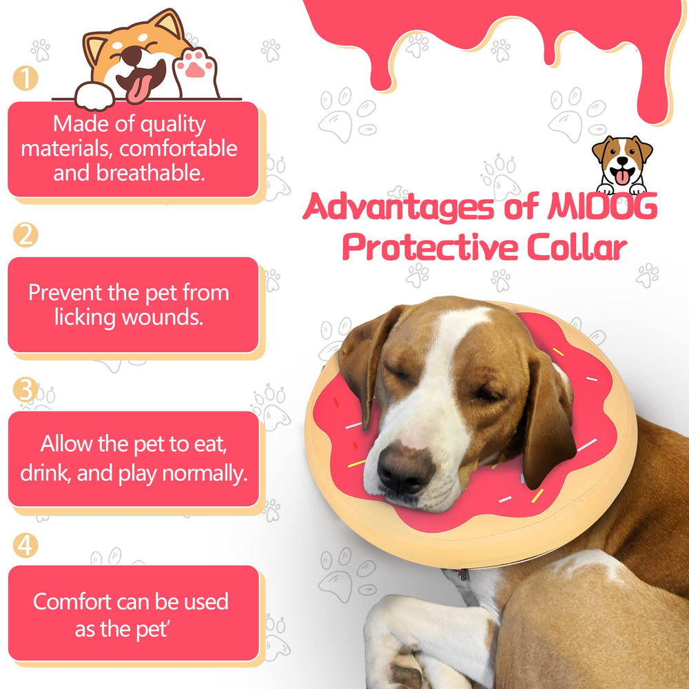 MIDOG pink XL collar close-up buckle showing secure adjustable fit