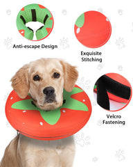 MIDOG soft inflatable donut e-collar pillow-like comfort for restful sleep