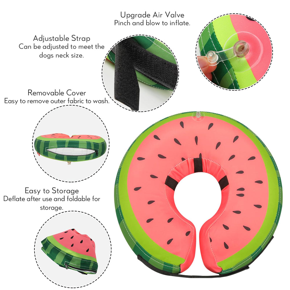 MIDOG donut e-collar buckle showcases secure adjustment for snug stay