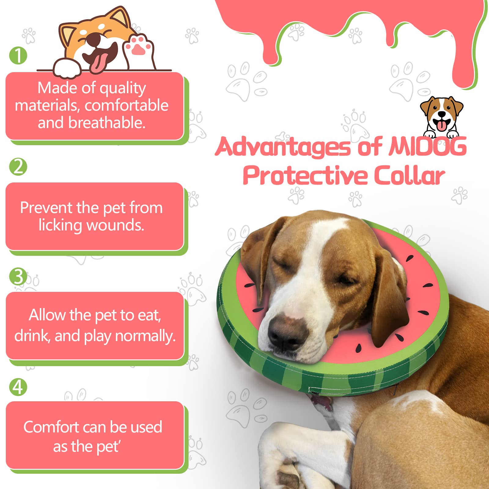MIDOG soft inflatable donut e-collar on dog demonstrates secure fit and easy breathing