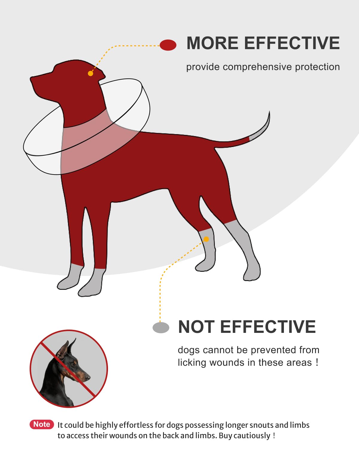 MIDOG inflatable e-collar allows clear navigation with no blocked vision