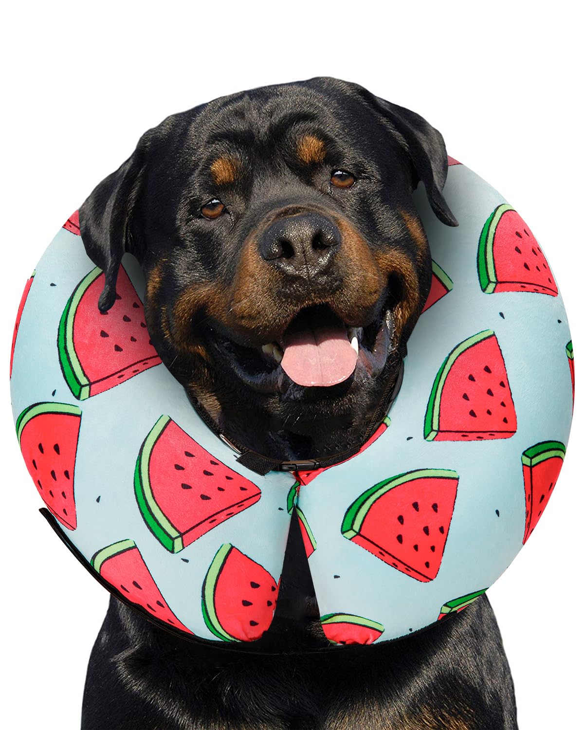 MIDOG Watermelon XL inflatable donut collar front view, soft protective barrier for post-surgery recovery.