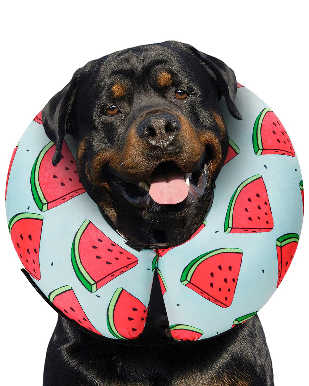 MIDOG Watermelon XL inflatable donut collar front view, soft protective barrier for post-surgery recovery.