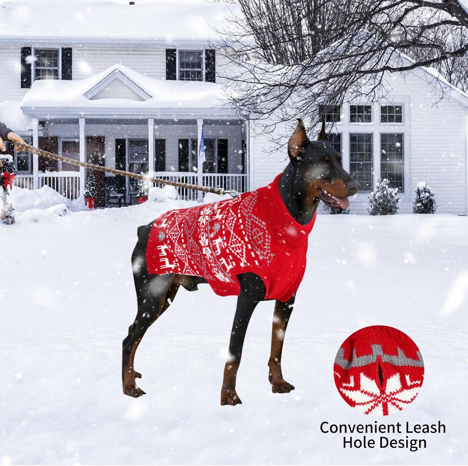 Midollarle extra-large dog Christmas sweater worn by dog during winter walks