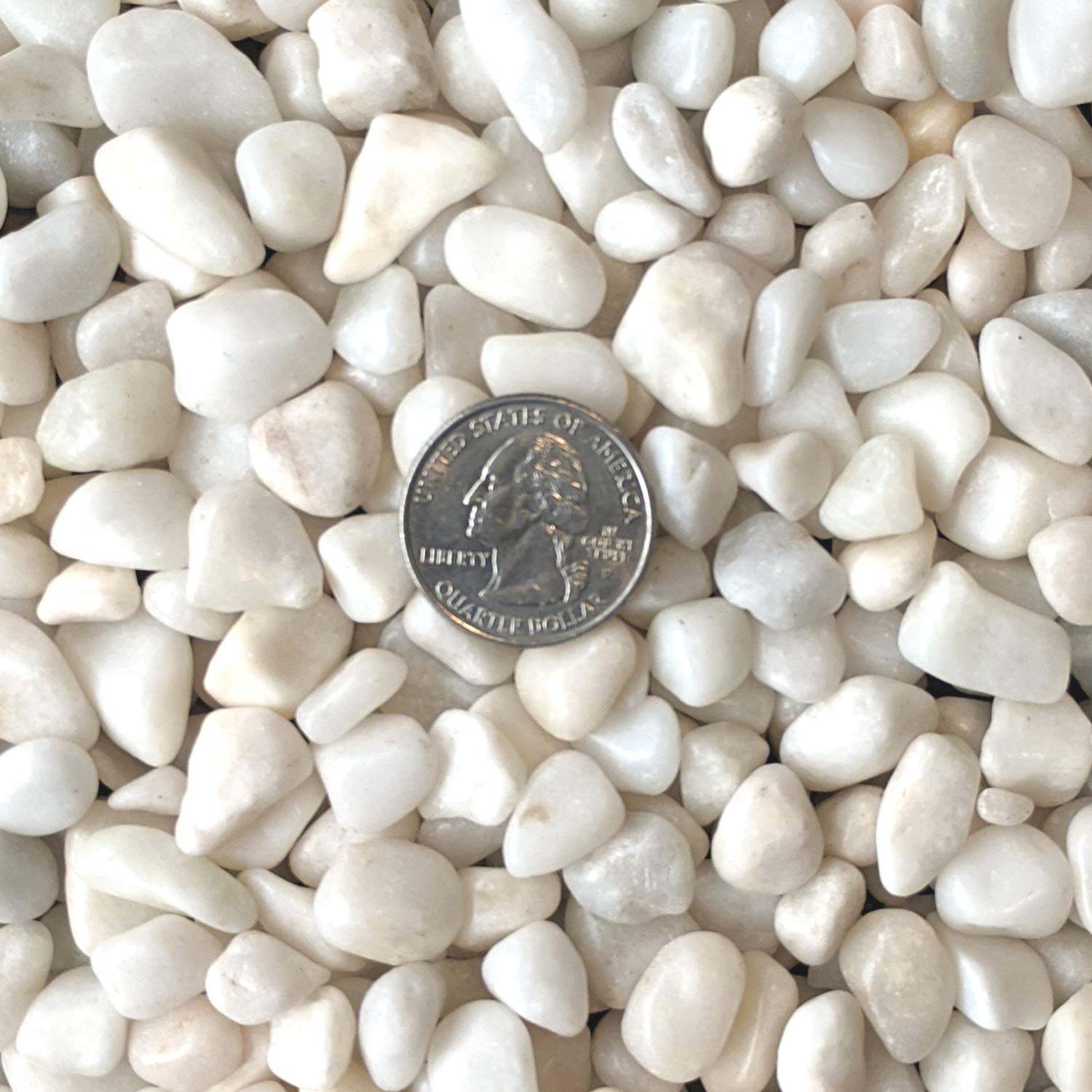 Midwest Hearth polished white pebbles succulent container adds decorative texture for plant displays.