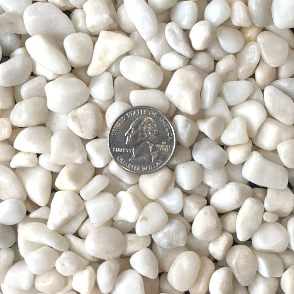 Midwest Hearth polished white pebbles succulent container adds decorative texture for plant displays.