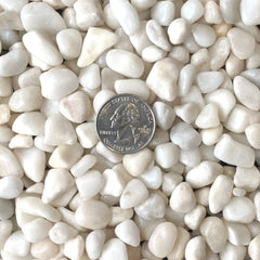 Midwest Hearth polished white pebbles succulent container adds decorative texture for plant displays.