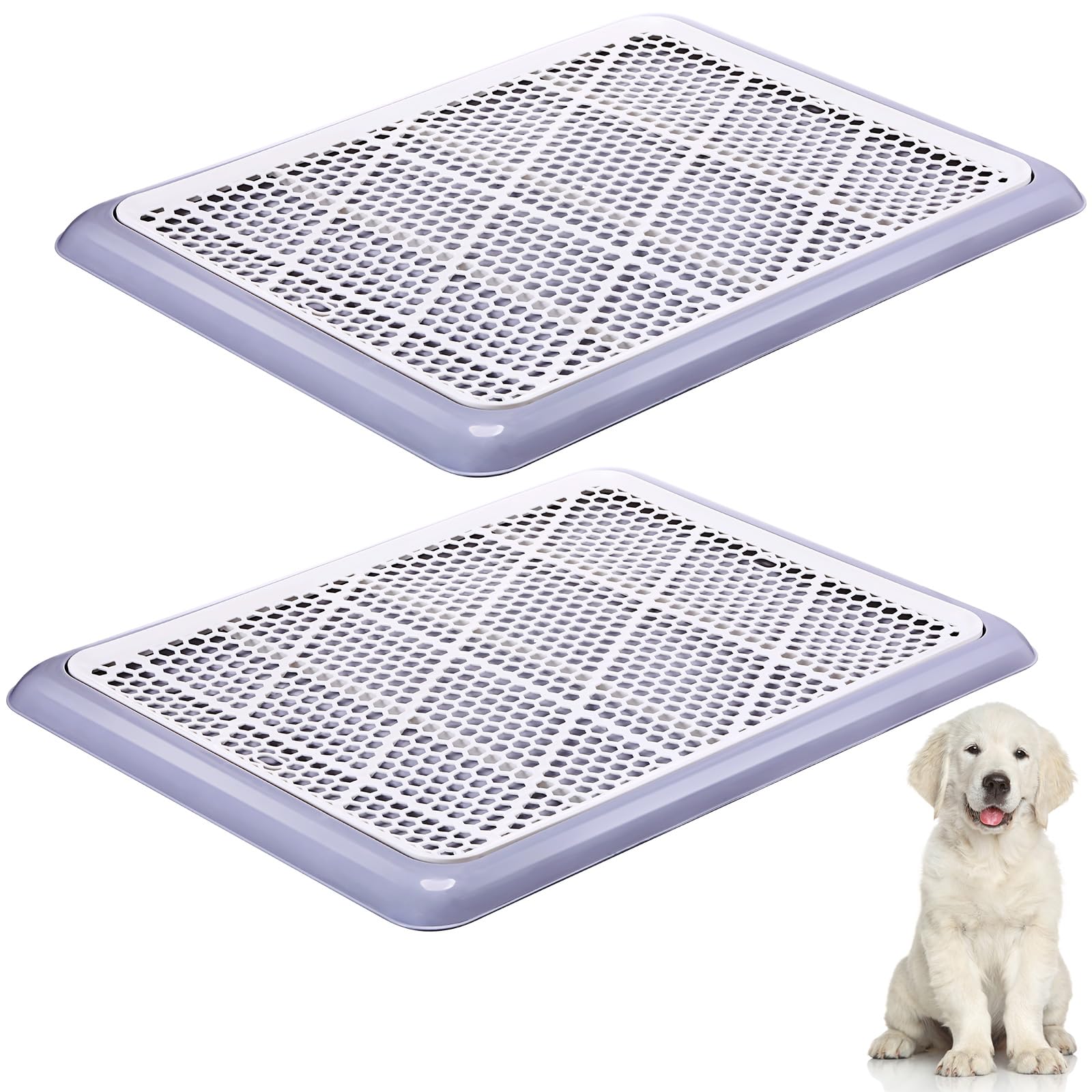 Mifoci dog potty tray perforated grate channels waste away, keeping paws dry and clean.