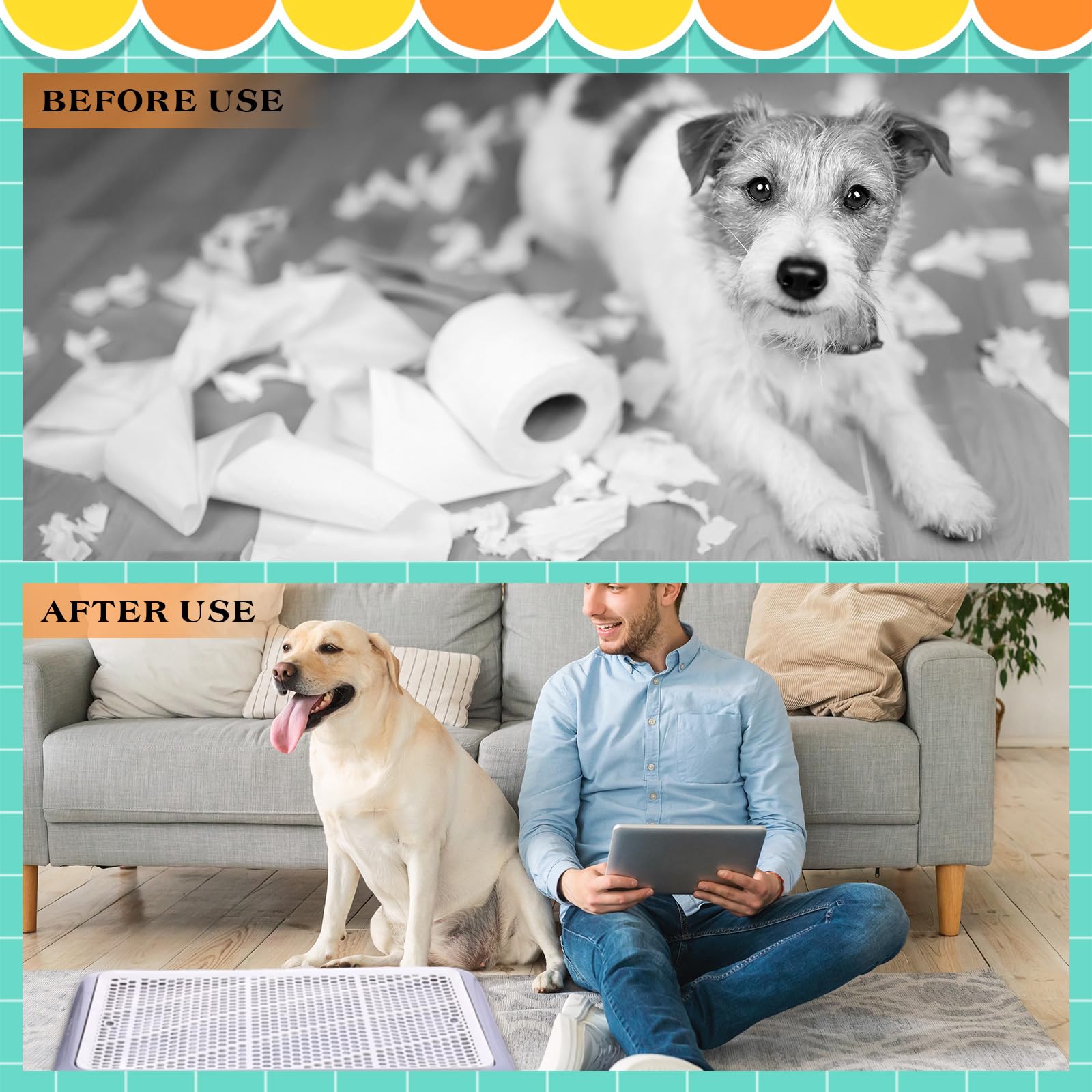 Mifoci large dog potty box offers a low entrance for easy access.