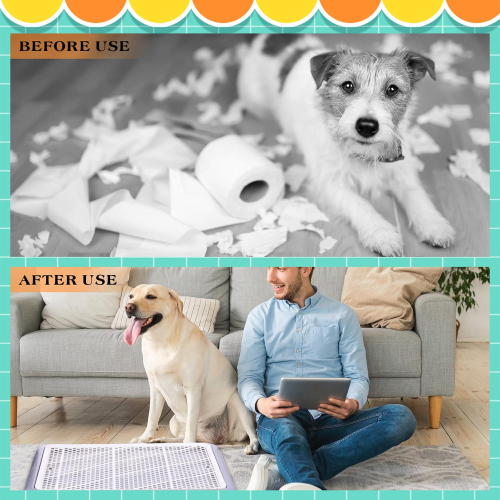 Mifoci large dog potty box offers a low entrance for easy access.