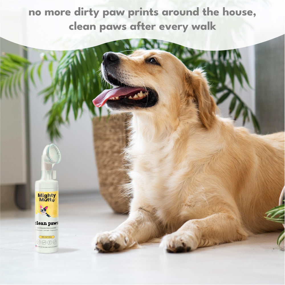 Mighty Mutt made-in-usa packaging reinforcing US-made production and responsible sourcing