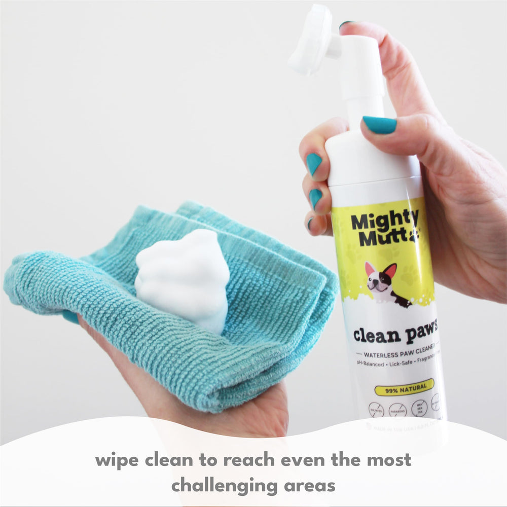 Mighty Mutt paw cleaner after walk demonstrating fast, mess-free cleanup