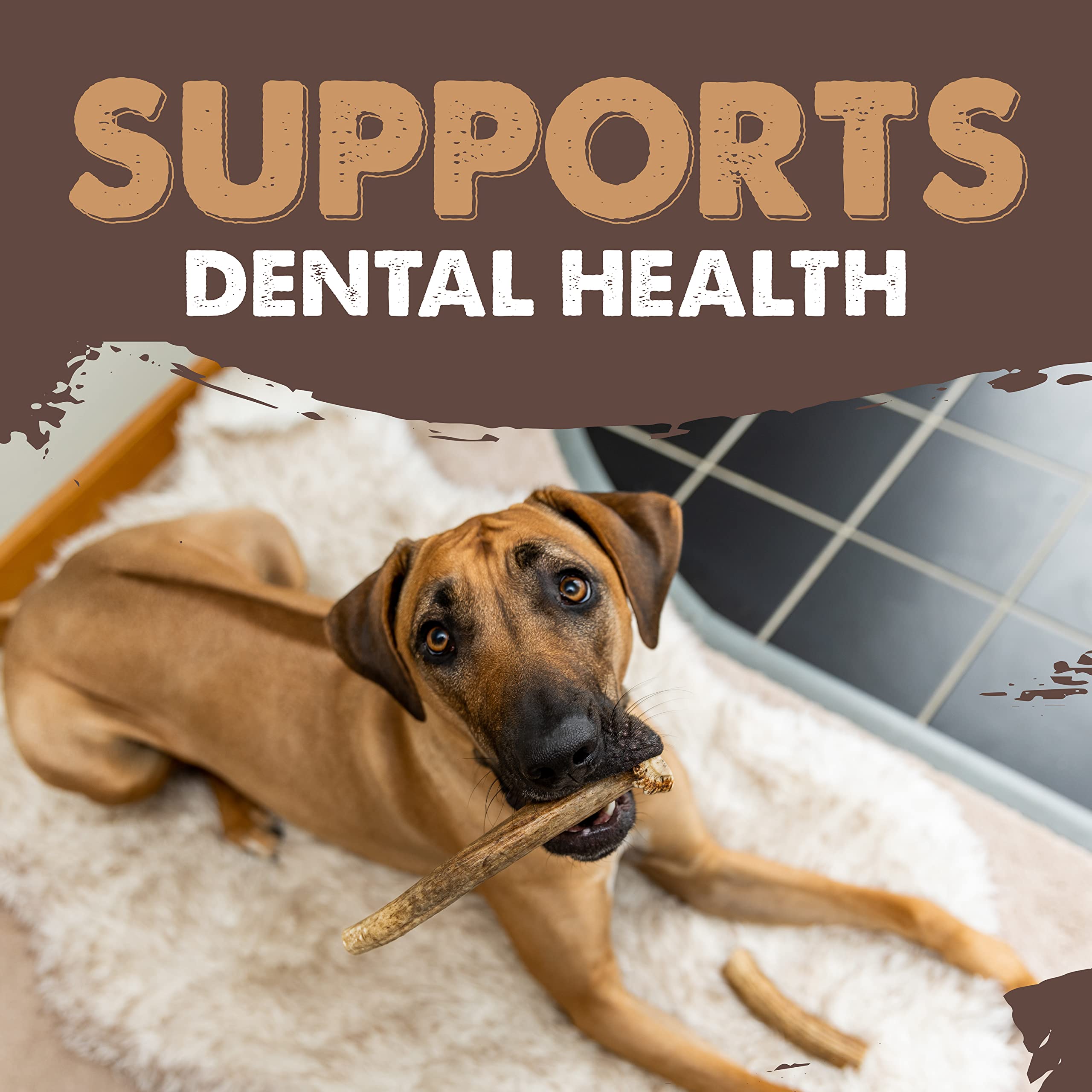 Mighty Paw 2-pack elk antlers in packaging—convenient ready-to-use chews.