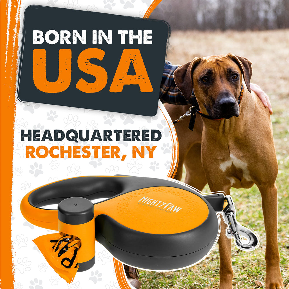 Mighty Paw all-in-one leash kit ready for active households.