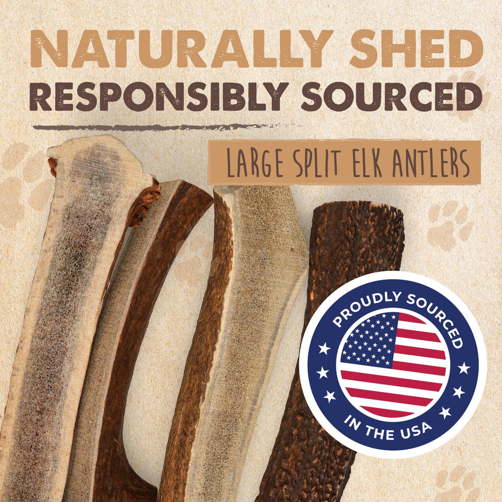 Mighty Paw American-sourced elk antlers emphasize natural, responsibly sourced chews for dogs.