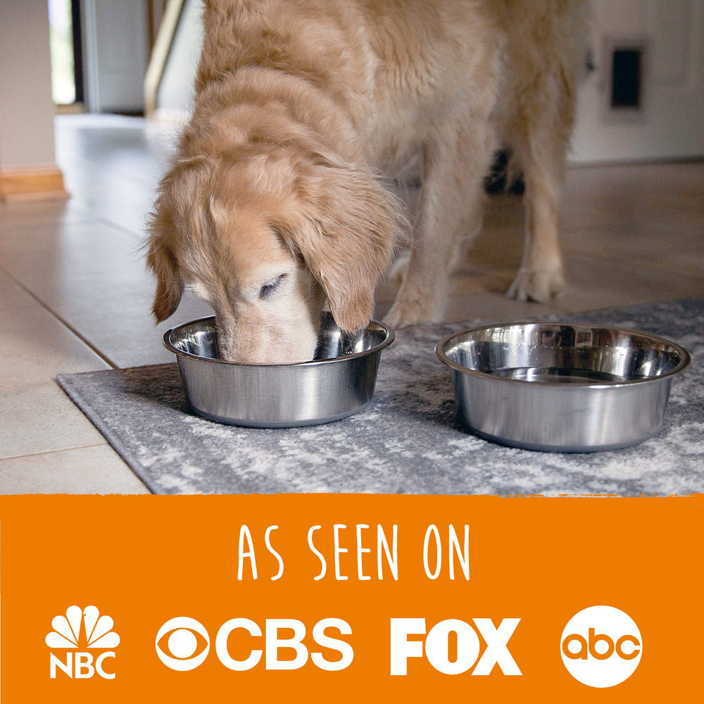 Mighty Paw edge comfort design protects dog tongues during meals.