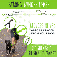 Mighty Paw bungee leash absorb image highlights shock absorption