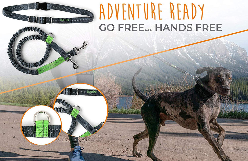 Mighty Paw bungee leash 3ft gray absorbs shocks for smoother runs.