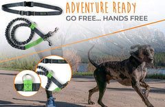 Mighty Paw bungee leash 3ft gray absorbs shocks for smoother runs.