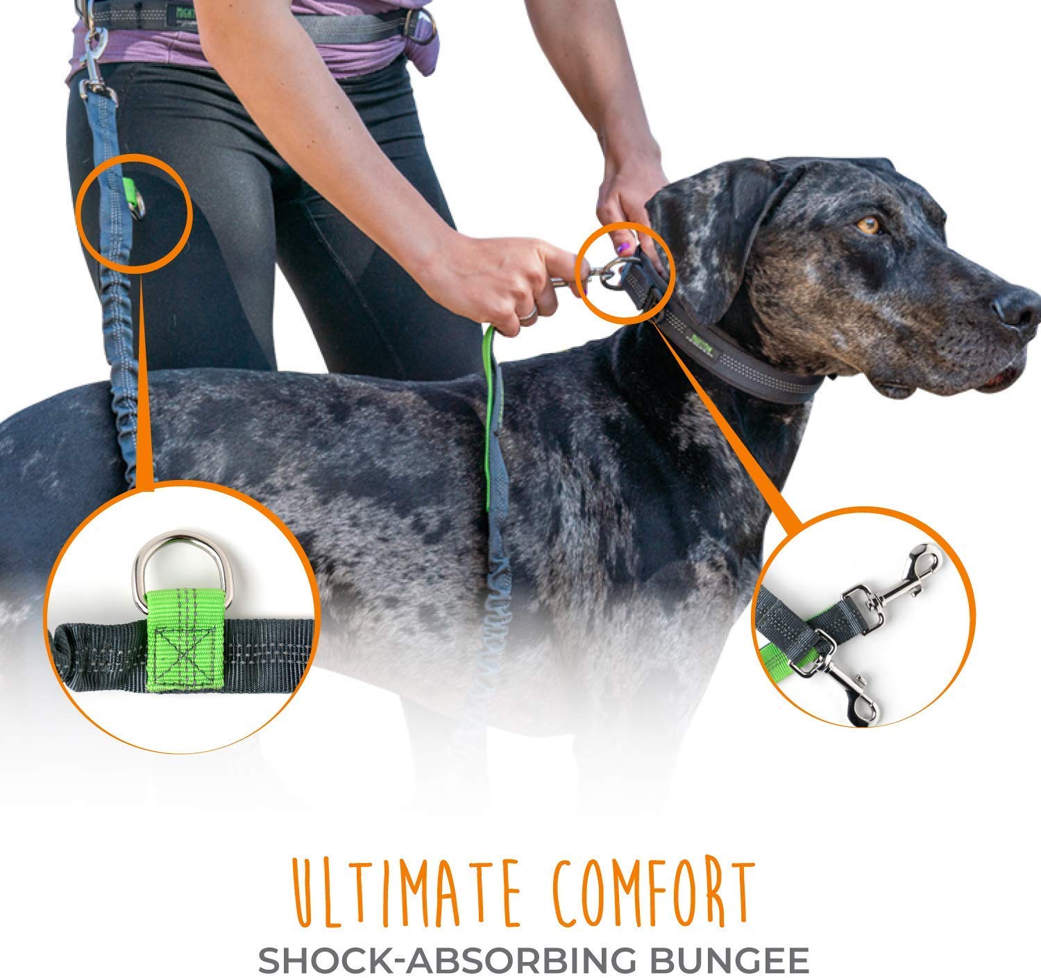 Mighty Paw bungee leash 4ft gray provides extended reach with flexible control.