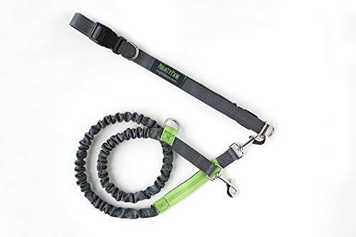 Mighty Paw bungee leash stretch length shows flexible reach for walks.