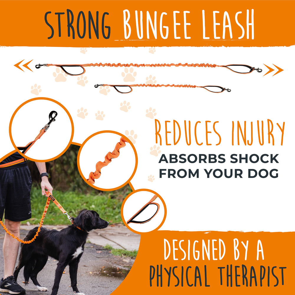 Mighty Paw bungee waist leash elastic shown for comfortable runs