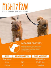 Mighty Paw BungeeX2 absorcion de fuerza para paseos con menos esfuerzo.