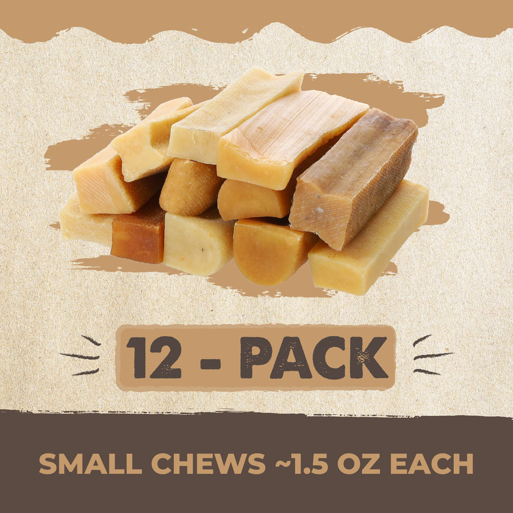 Mighty Paw Yak Cheese Chews enjoyed by dogs in cozy home setting.