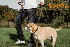 Collar martingale para entrenamiento en casa y al aire libre