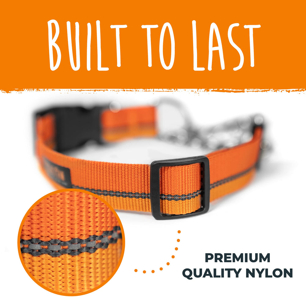 Mighty Paw collar martingale: talla mediana perfecta para perros de tamaño medio.