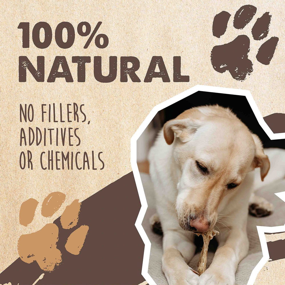 Mighty Paw cow ears USA-sourced grass-fed close-up showing quality chew for dogs