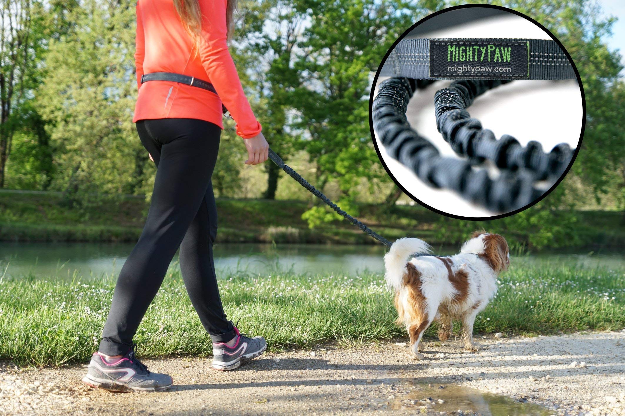 Mighty Paw cross-stitch reinforcement highlights durable leash belt setup.