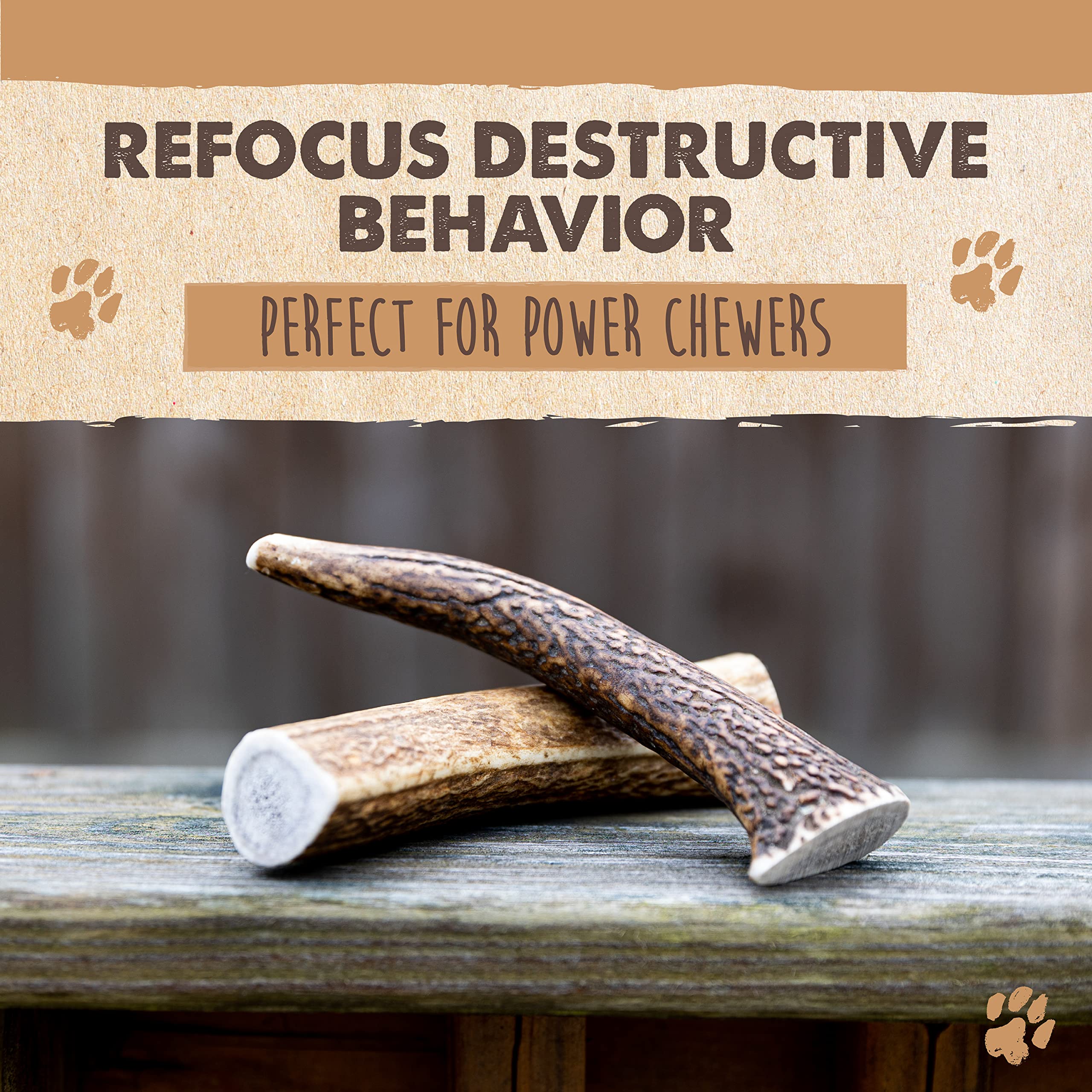 Mighty Paw dental-friendly elk antlers close-up—helps clean teeth and massage gums.