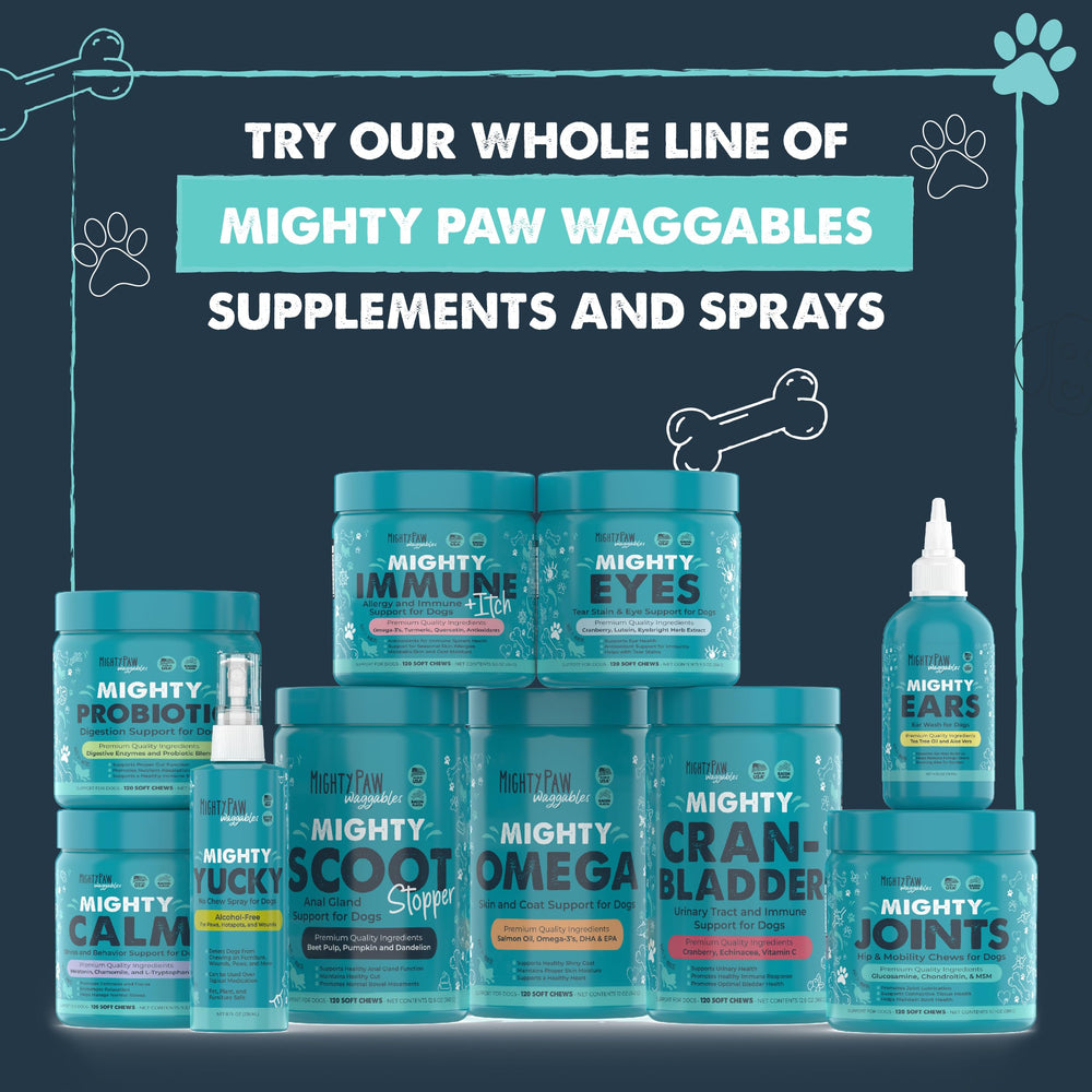 Mighty Paw Digestive-health bowl image suggests overall gut wellness for pets
