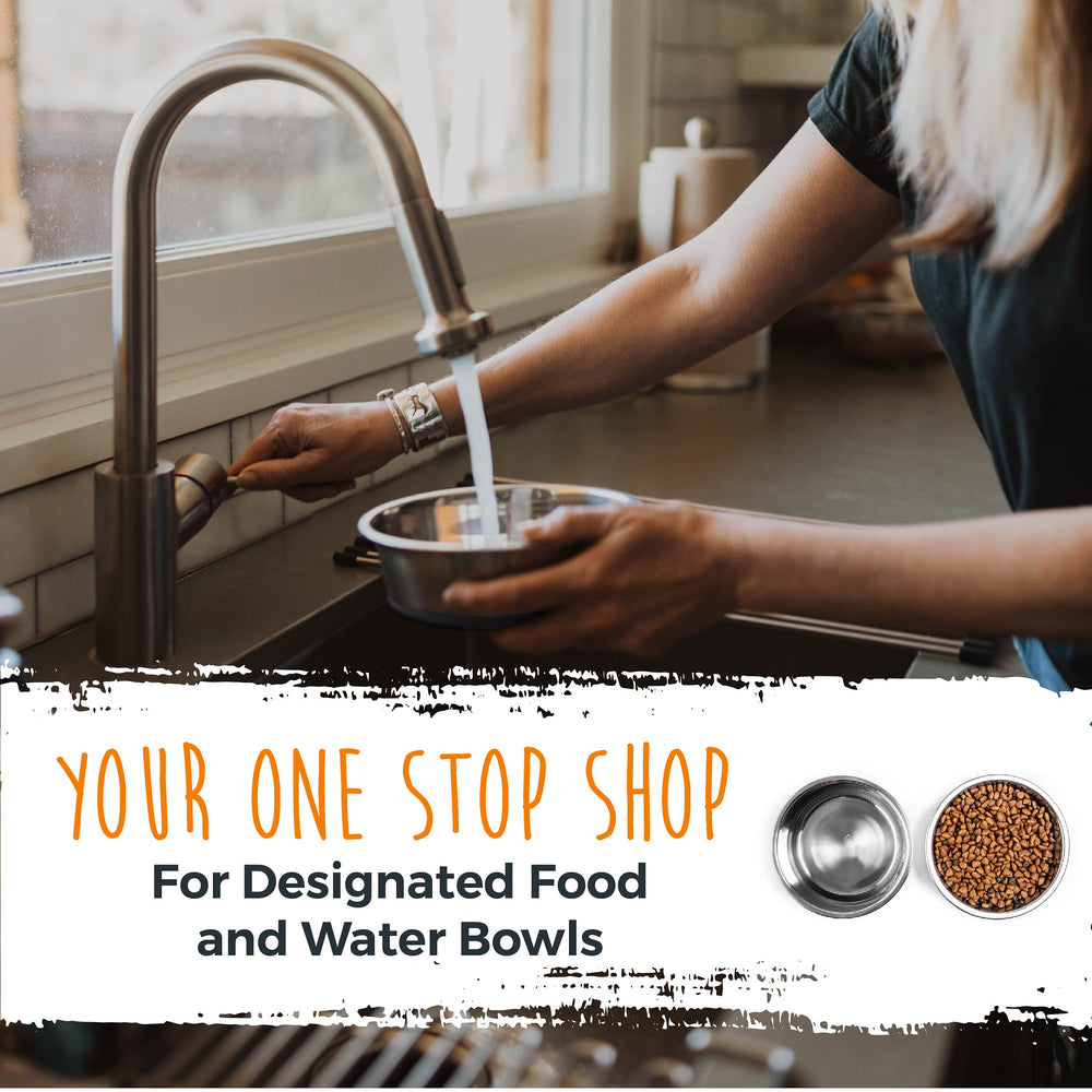 Mighty Paw dishwasher-safe dog bowls for effortless cleaning.