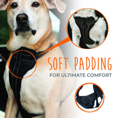 Mighty Paw adjustable straps customize a snug fit for growing dogs.