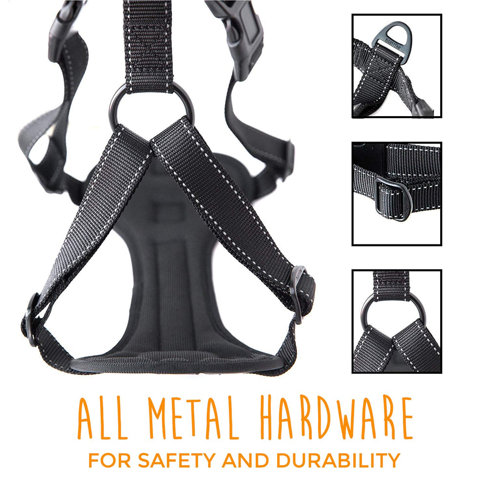 Mighty Paw reflective stitching improves night-time visibility for safety.