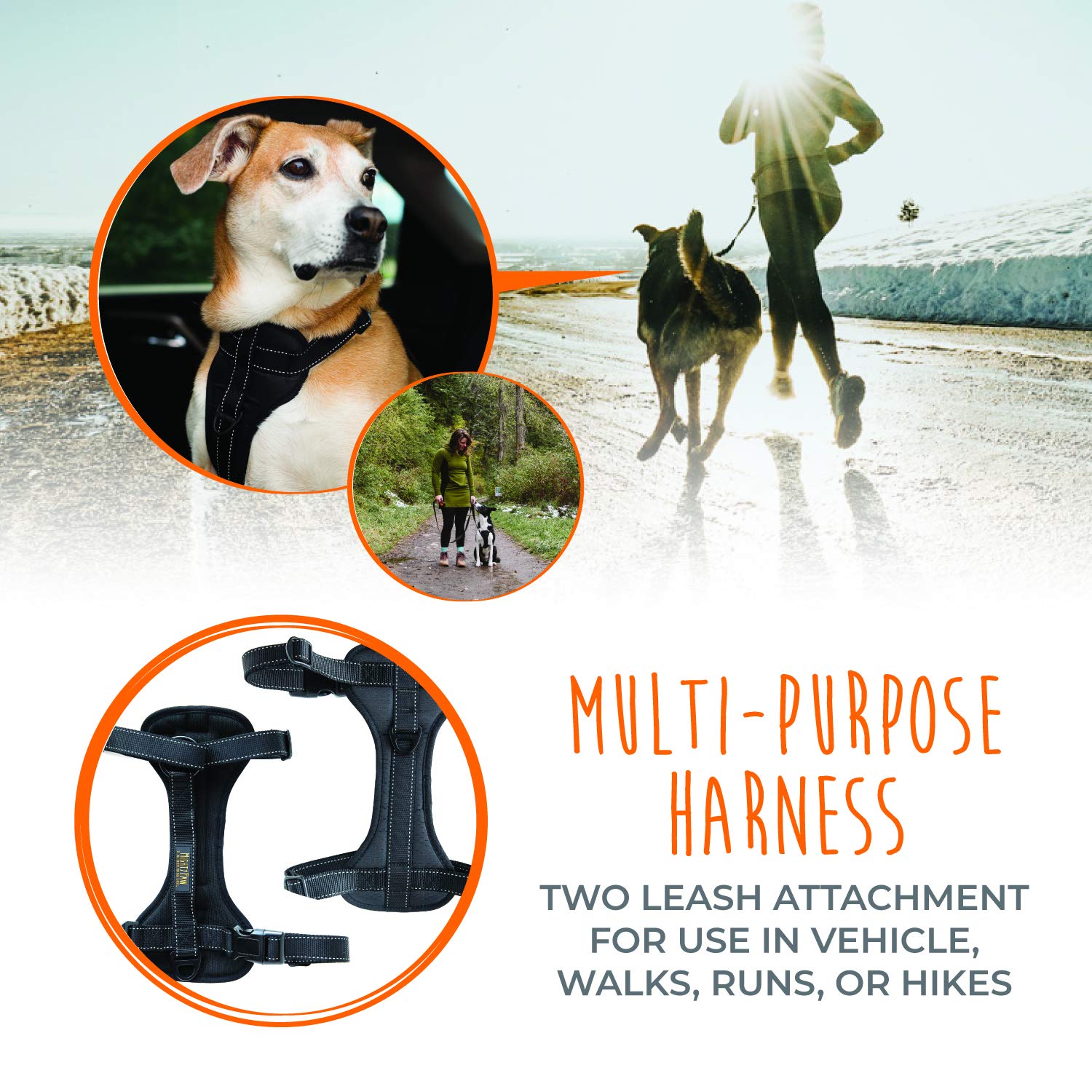 Mighty Paw weatherproof materials withstand rain, mud, and daily adventures.