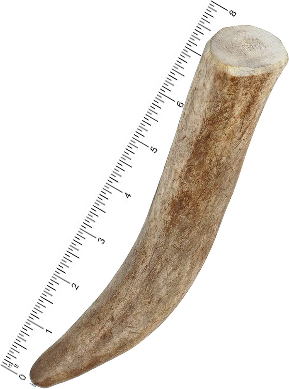 Mighty Paw dog chewing elk antler: keeps dogs focused and redirected from furniture.