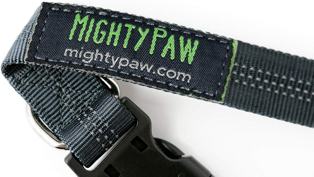 Mighty Paw dog walking setup gray offers versatile, hands-free walking options.