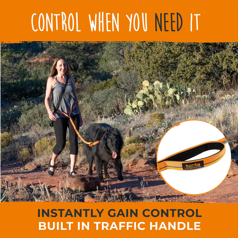 Mighty Paw dog-walking urban scene highlighting hands-free setup
