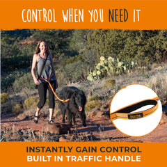 Mighty Paw dog-walking urban scene highlighting hands-free setup