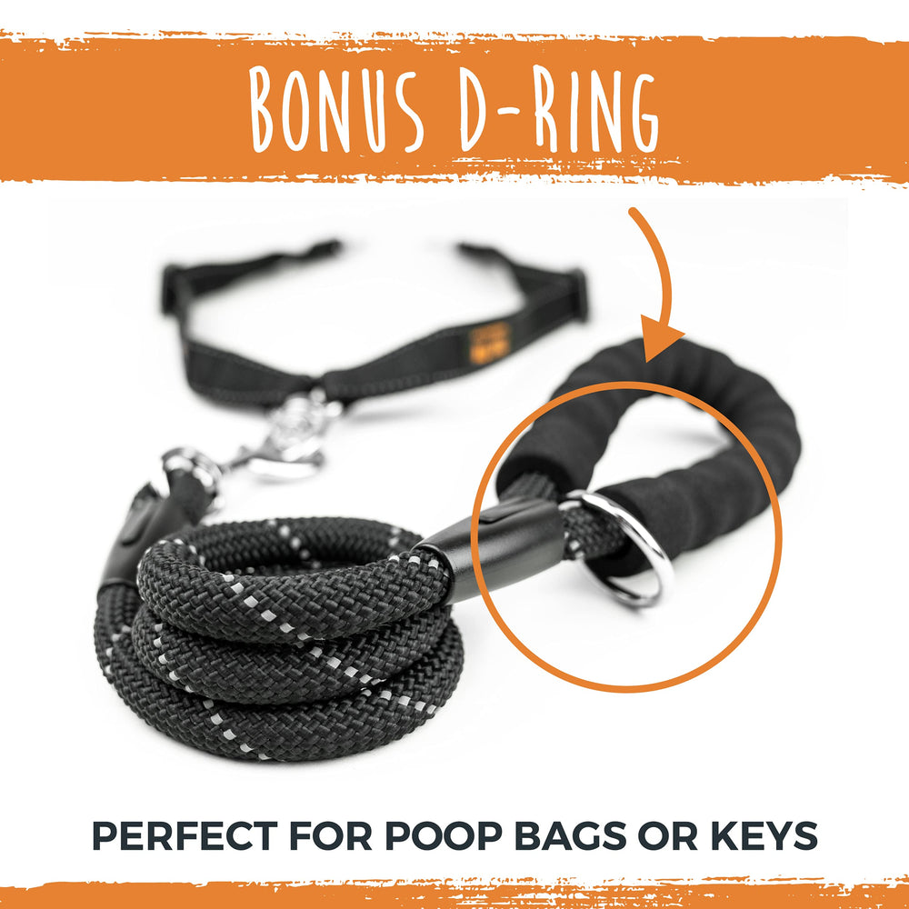 Mighty Paw split-lead design keeps two dogs close without tangles.
