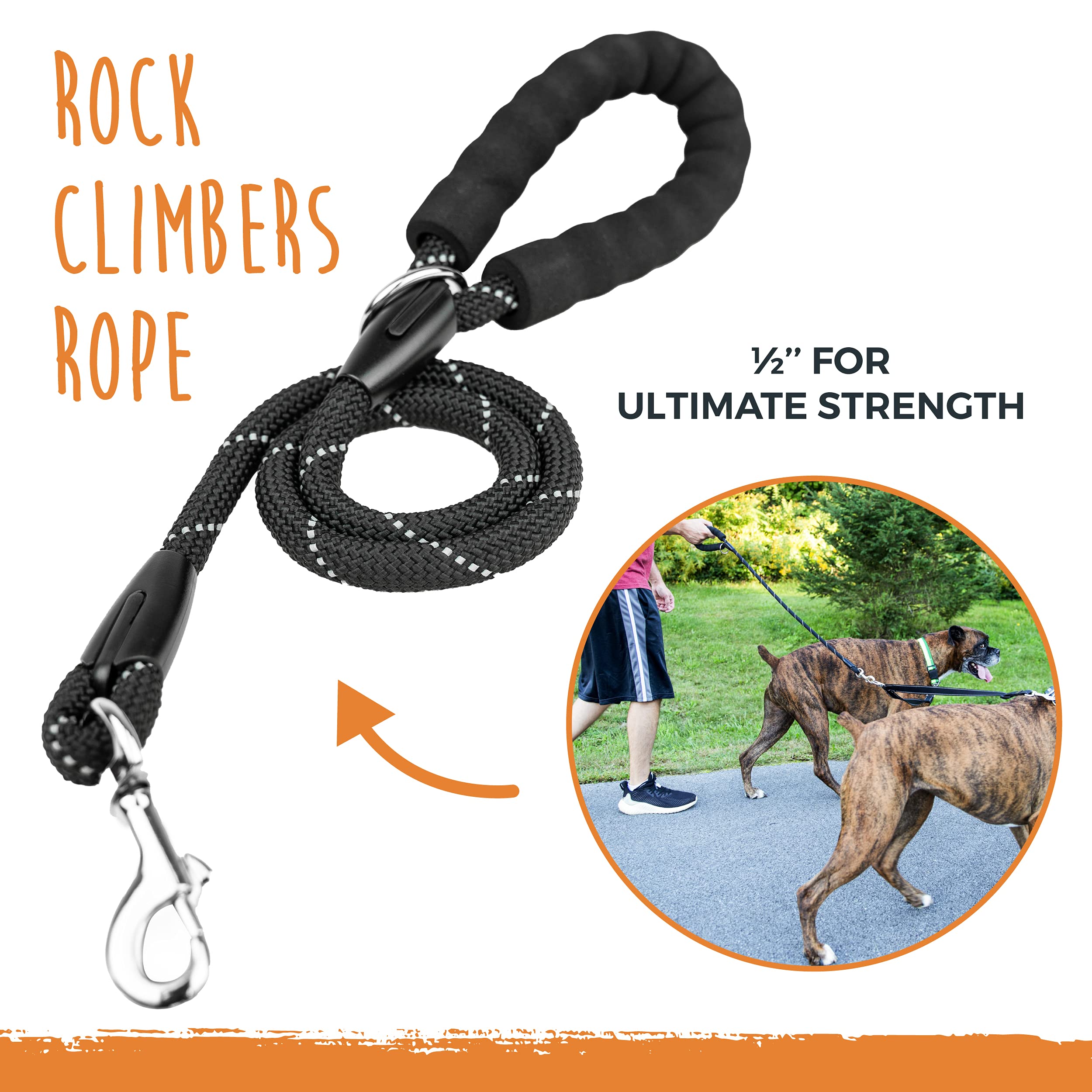 Mighty Paw double dog leash with two dogs walking for a stress-free outing.
