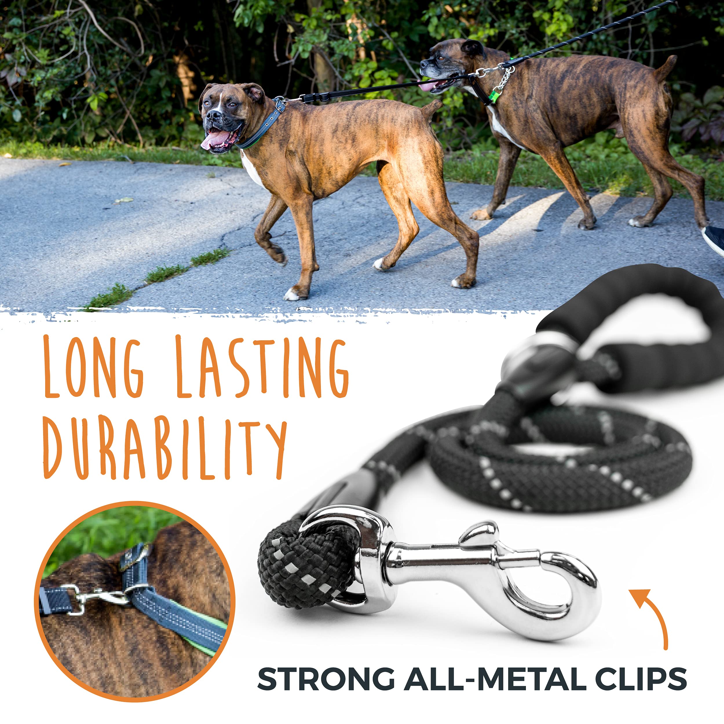 Mighty Paw two-dog leash setup for two puppies ready for a walk.