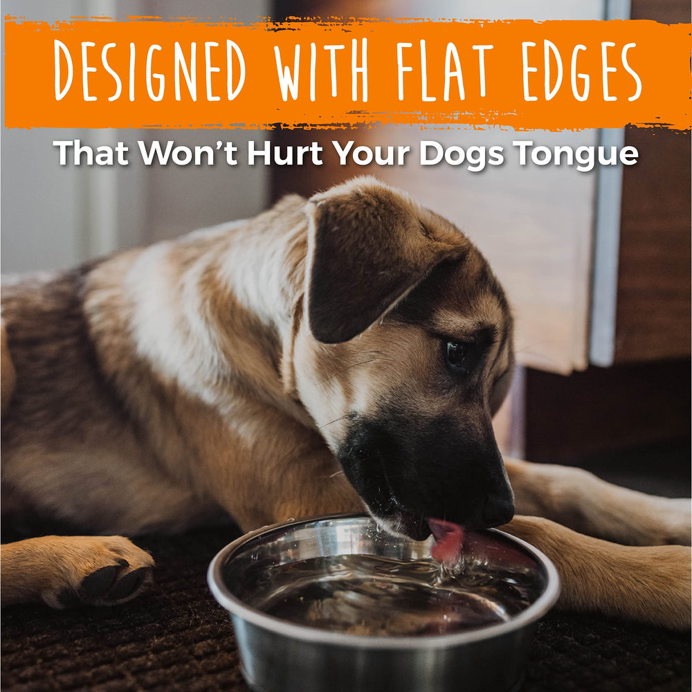 Mighty Paw easy-clean stainless steel bowls resist build-up after meals.
